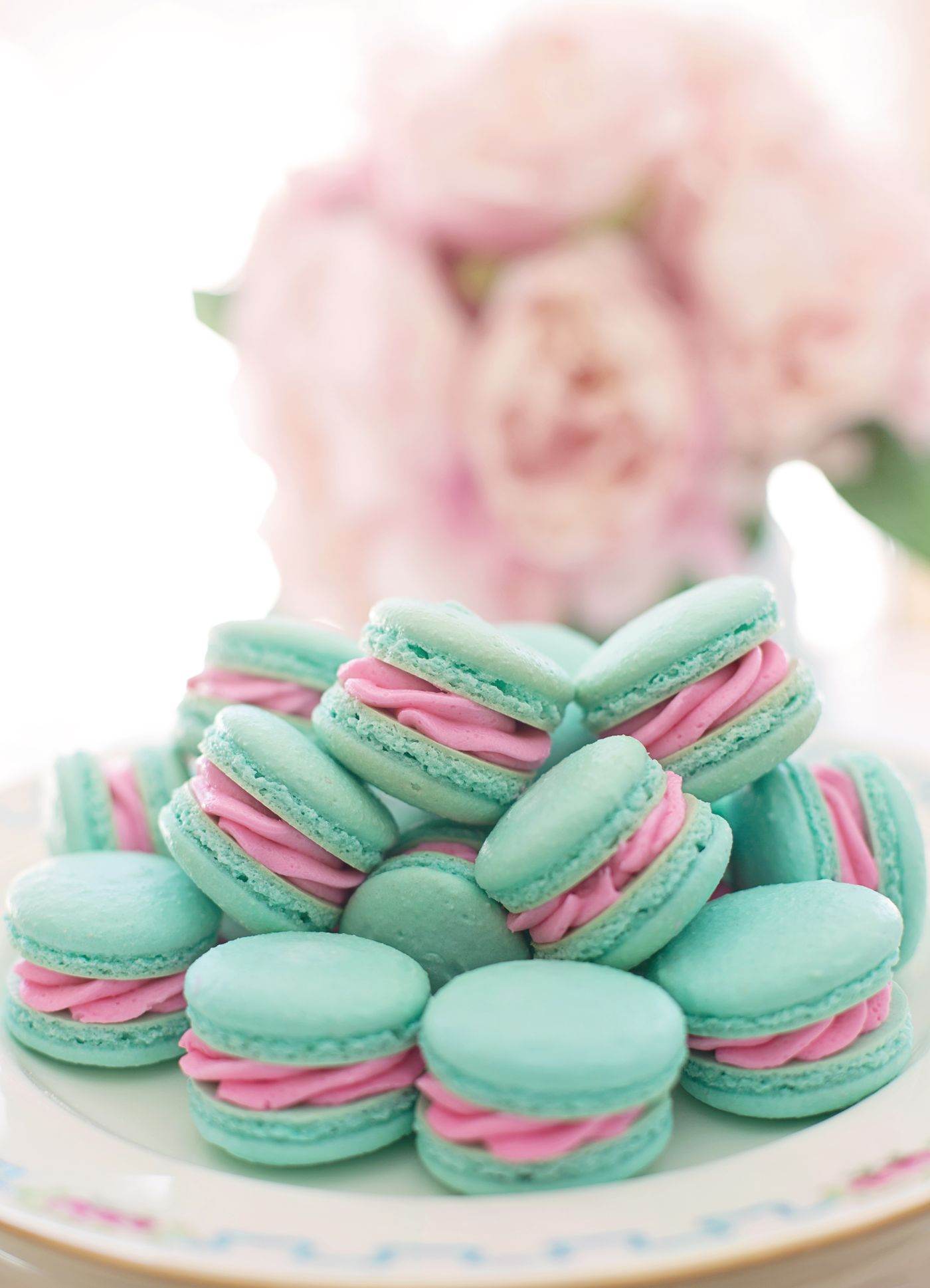 Pastel macarons in a row.